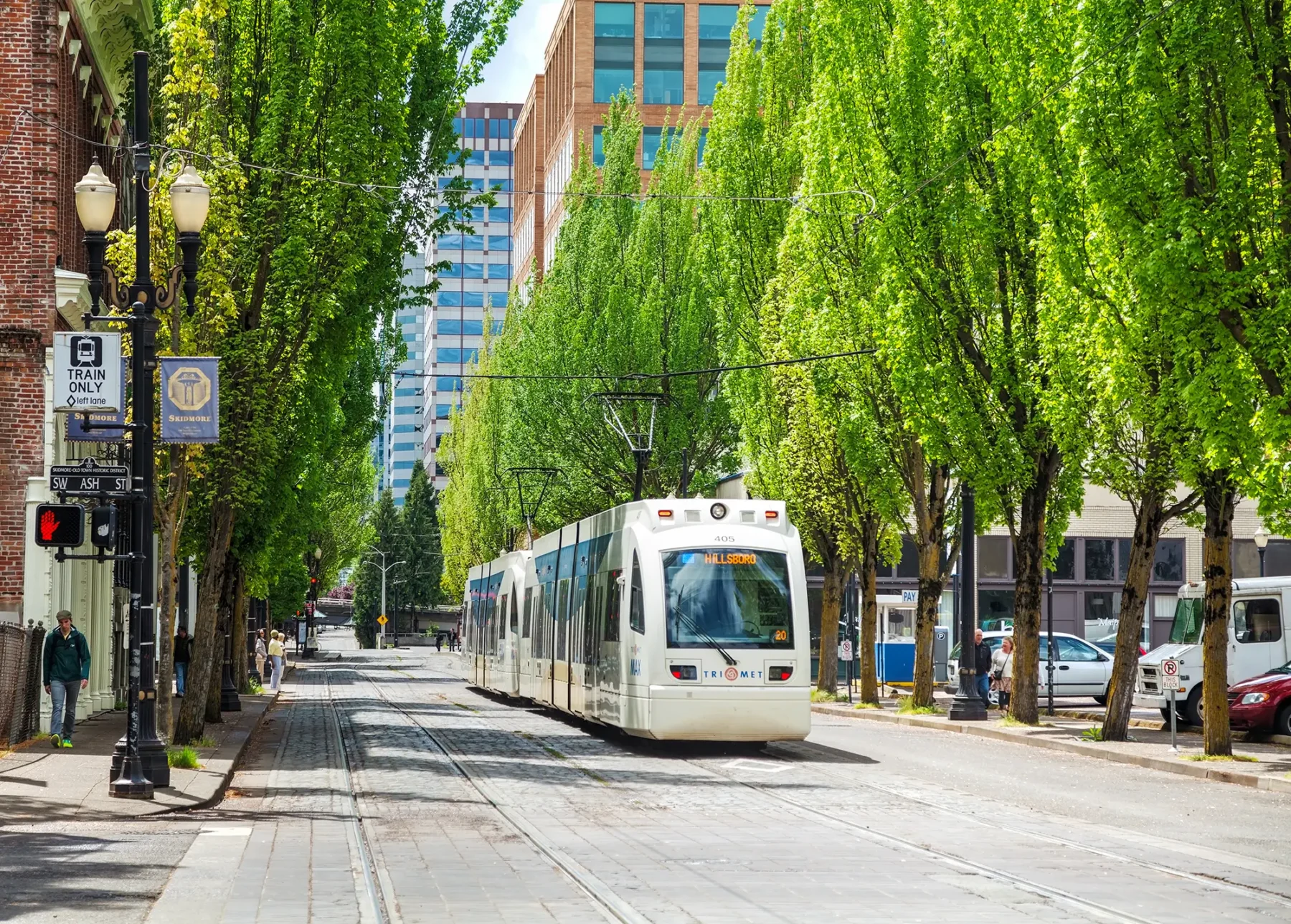 City street with trees on either side, with a trolley car in the street
