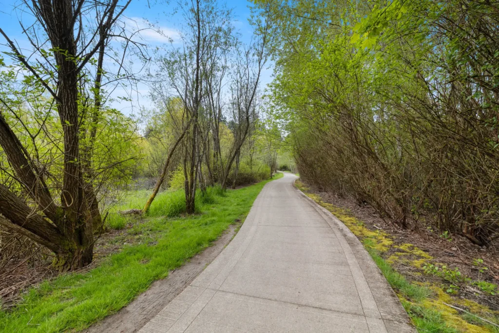paved walking trail in the woods