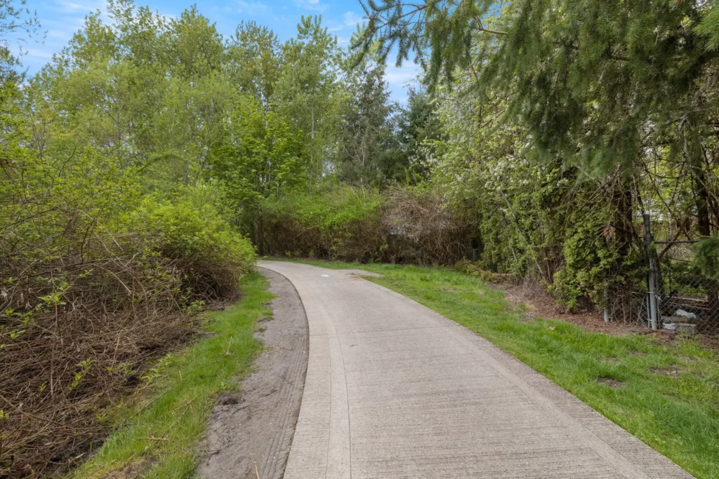 paved walking trail in the woods